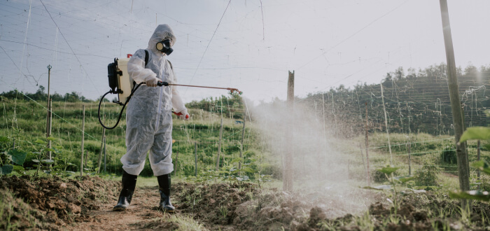 A farmer sprays pesticides on crops