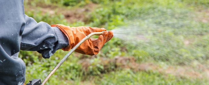 Gardener wearing protective gear while spraying Paraquat weed-killing liquid