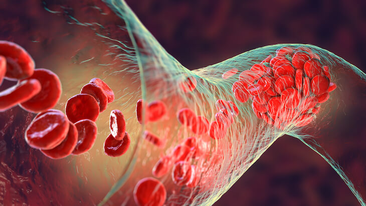 blood cells in body